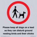 please-keep-all-dogs-on-a-lead-as-they-can-disturb-ground-nesting-birds-and-thei~